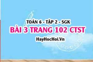 Giải bài 3 trang 102 Toán 6 Tập 2 Chân trời sáng tạo